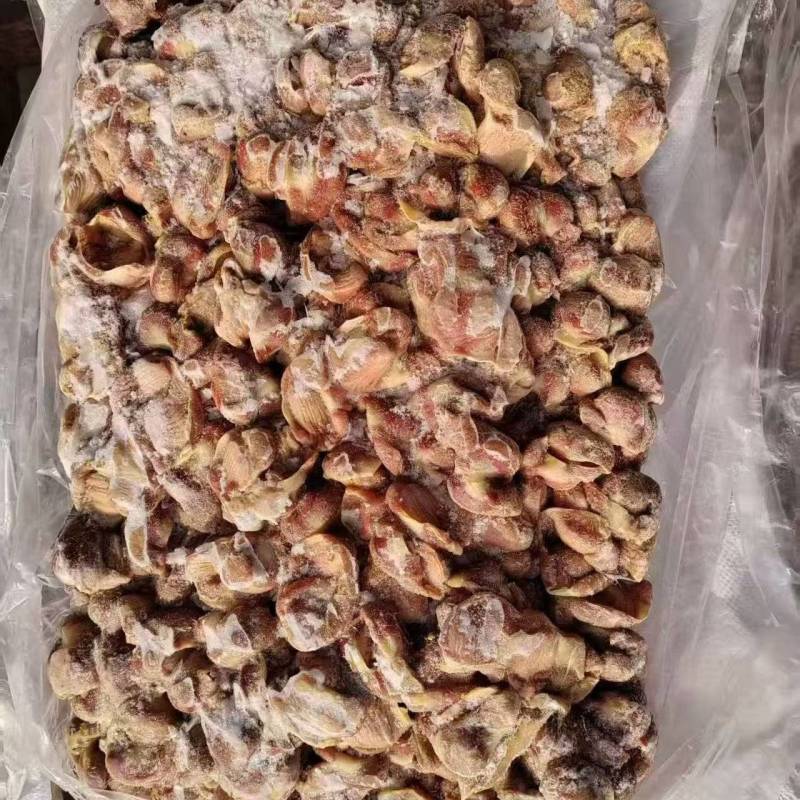 老种鸡净胗30吨