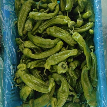 顔色亮，皮薄