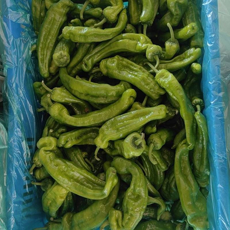 顔色亮，皮薄