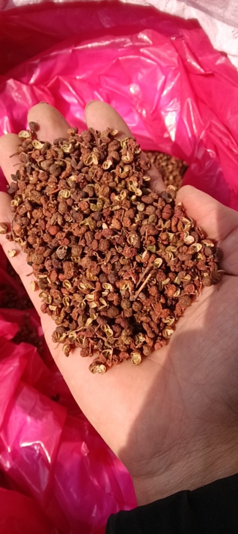 山东红花椒大量接单原枝才能出好货欢迎咨询下单
