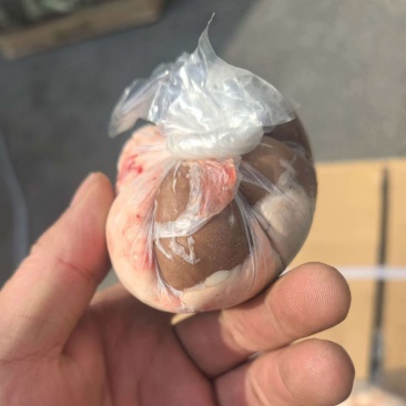 羊腰