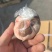 羊腰