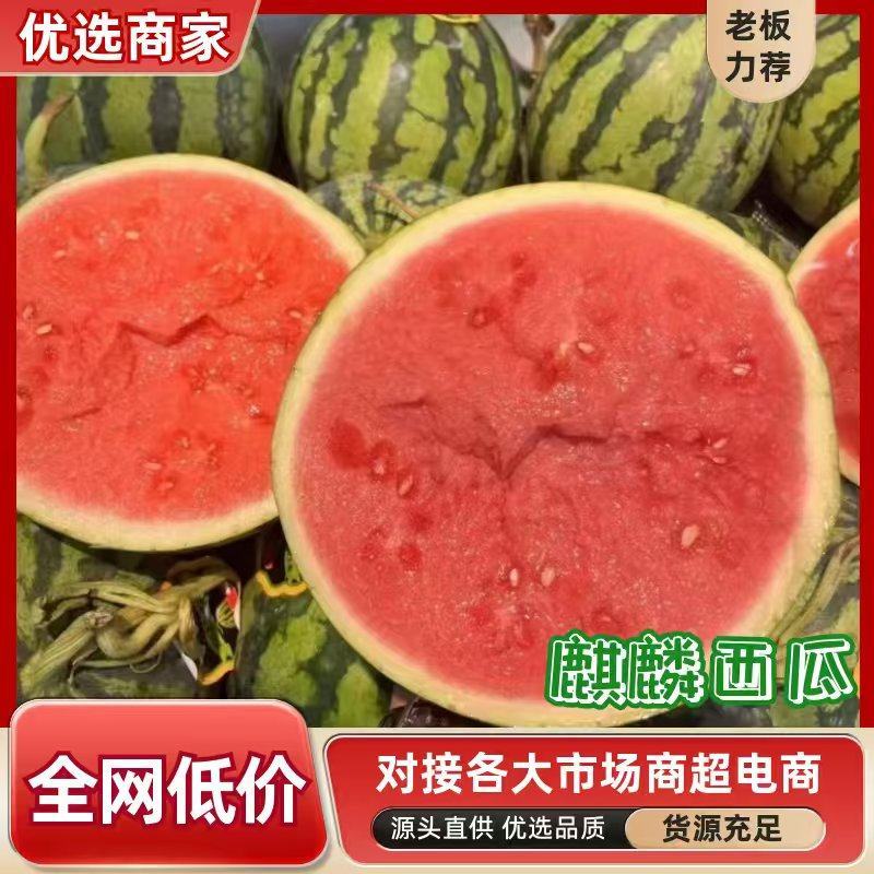 云南产地直发，无籽西瓜，毛毛钱，包上车