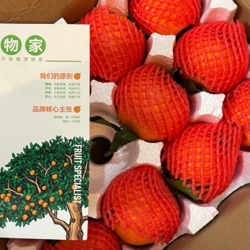 [明日见]春日限定高端柑橘上新，新鲜清甜，口感脆爽