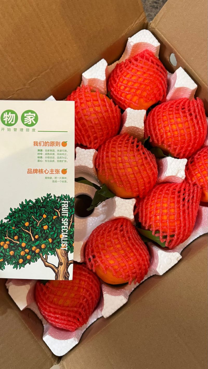 [明日见]春日限定高端柑橘上新，新鲜清甜，口感脆爽