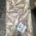 白姑鱼现货，20/25/10吨，40/7070/10