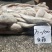 白姑鱼现货，20/25/10吨，40/7070/10