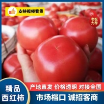 【实力】普罗旺斯西红柿产地直发自产自销量大从优