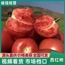 【优选】山西太原精品普罗旺斯西红柿大量供应对接电商超市