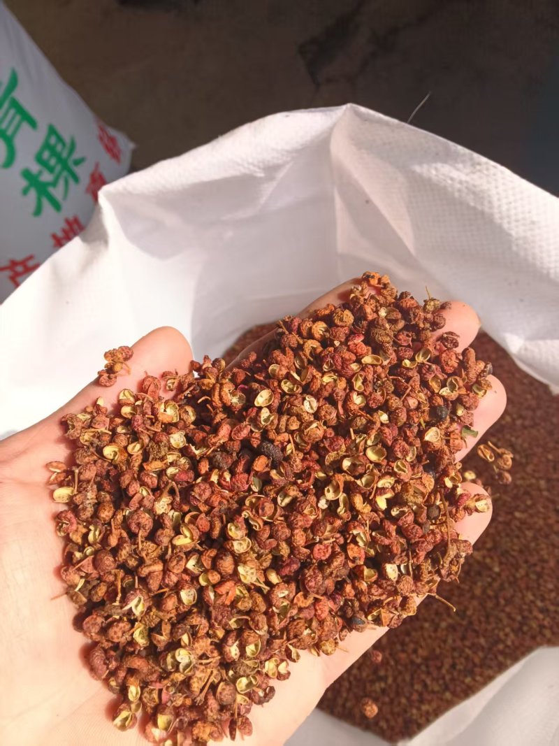 山东红花椒大量接单原枝才能出好货欢迎咨询下单