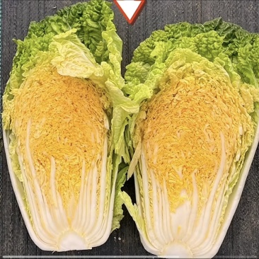 黄心白菜