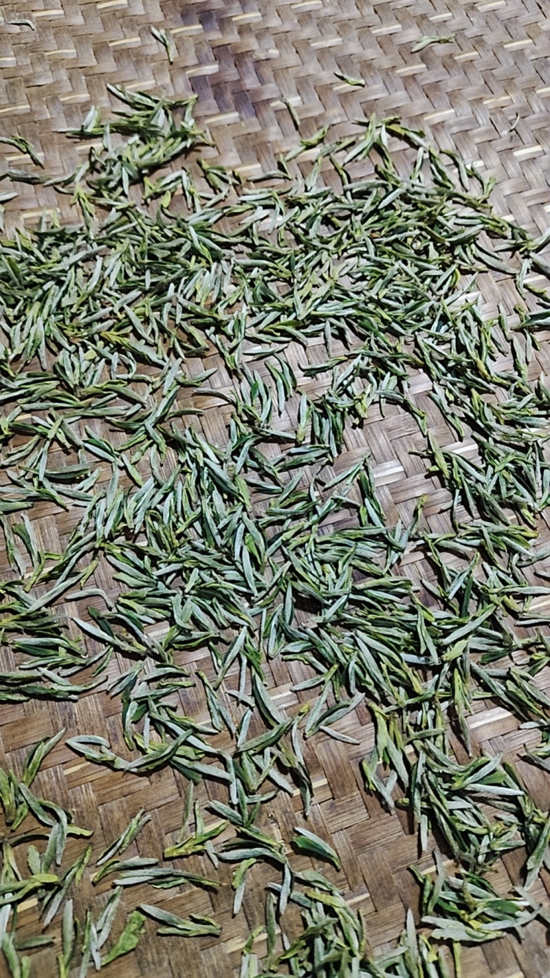 岳西翠兰一