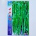 中华长螺辣椒种子薄皮螺丝尖椒早熟螺丝线椒种子辣味浓皱
