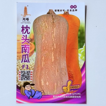 高产粉甜优质南瓜中晚熟肉质紧密干甜面南瓜种子