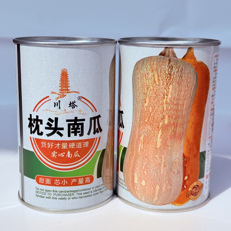 高产粉甜优质南瓜中晚熟肉质紧密干甜面南瓜种子