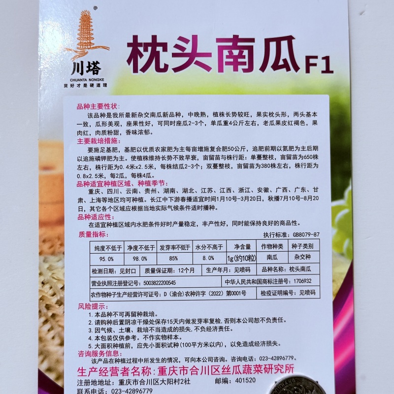 高产粉甜优质南瓜中晚熟肉质紧密干甜面南瓜种子