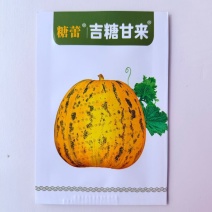 丰信恒糖蕾甜瓜种子花皮绿肉豹点花纹香瓜种籽脆甜八里香瓜种