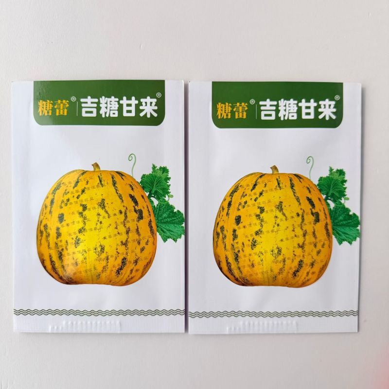 丰信恒糖蕾甜瓜种子花皮绿肉豹点花纹香瓜种籽脆甜八里香瓜种