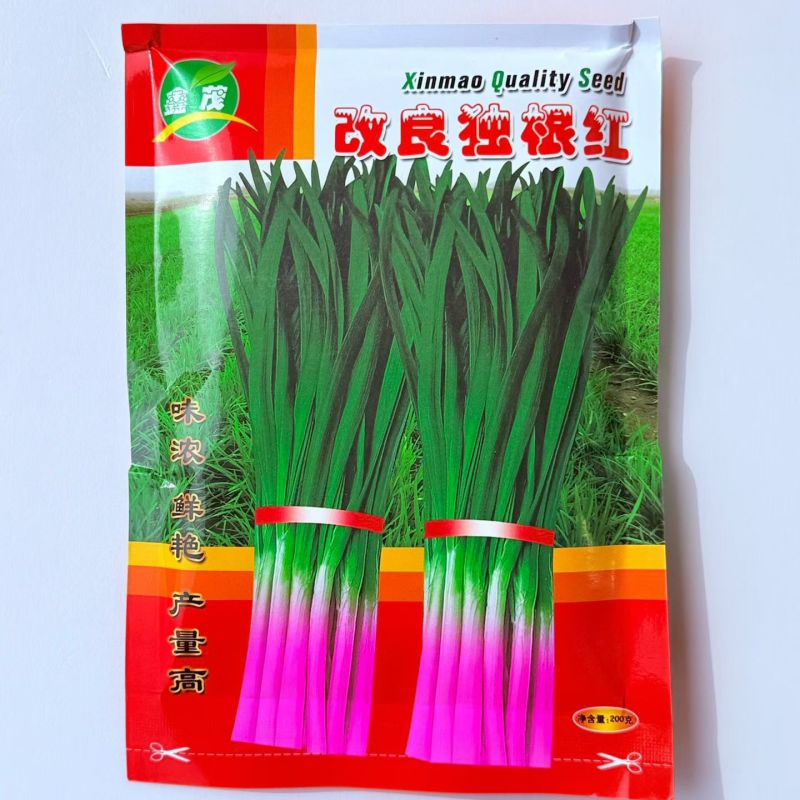 改良独根红韭菜种子紫根菜籽耐热耐寒高产四季蔬菜种子多年生