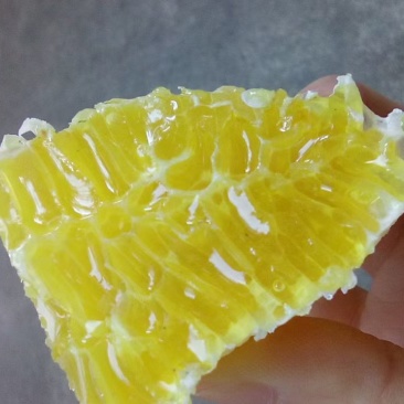 正宗野生土蜂蜜一件包邮甜度可口，全国发货，