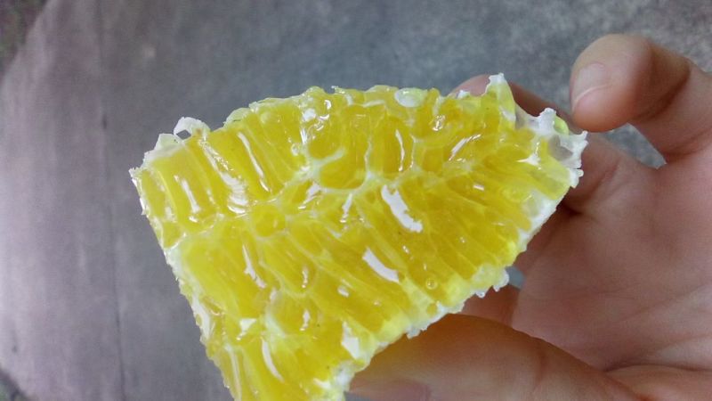正宗野生土蜂蜜一件包邮甜度可口，全国发货，