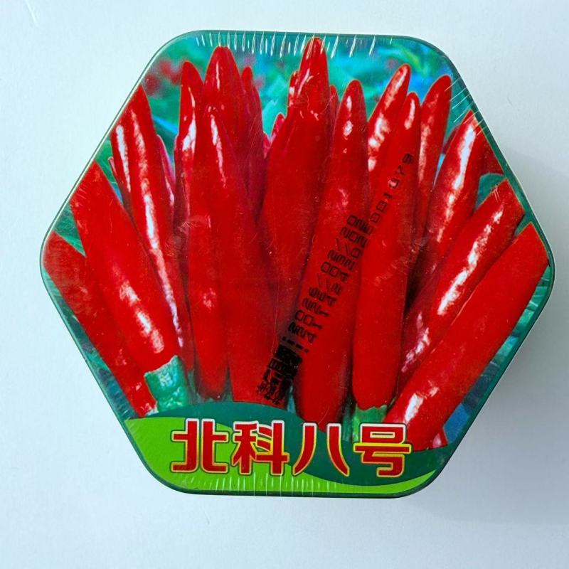 北科八号朝天椒辣椒种子簇生亮红大果高产抗病商品性佳尖椒种