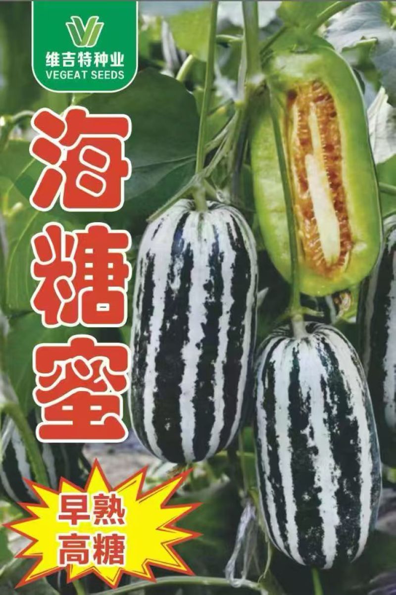 海糖蜜甜瓜种子青皮羊角蜜香瓜种籽绿肉桔瓤口感酥脆春季冰糖