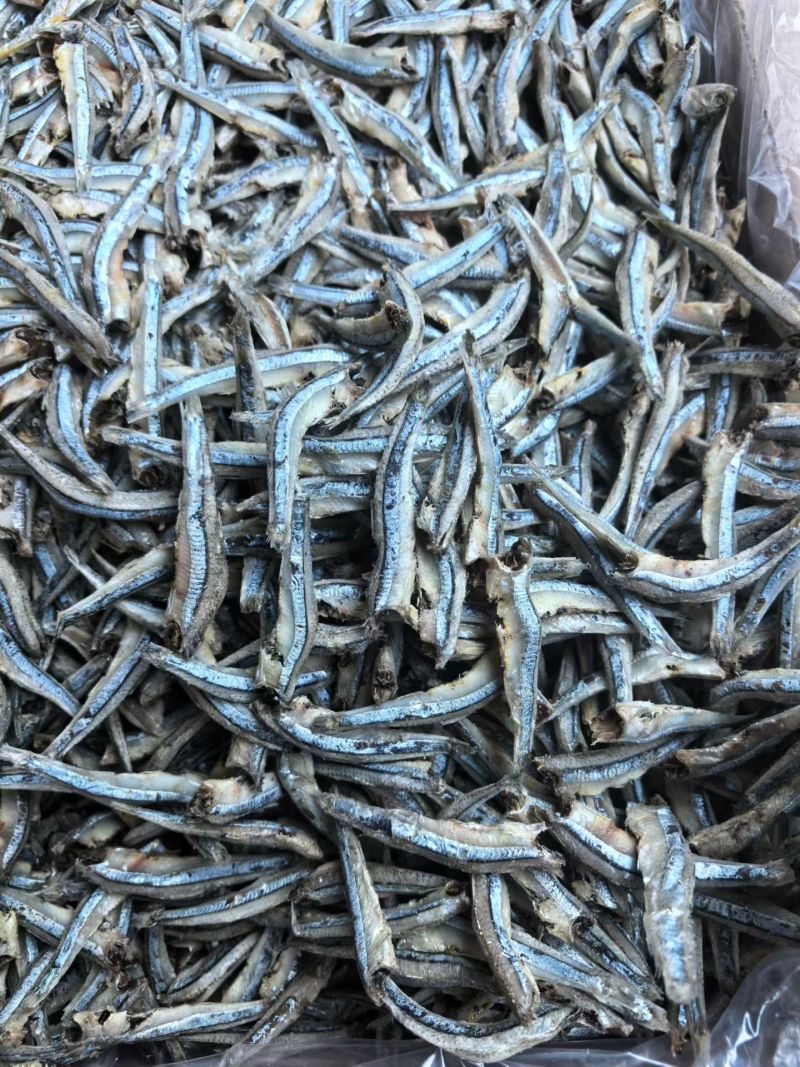 优质公干鱼5/7，海燕鱼，手工去头，产地货源