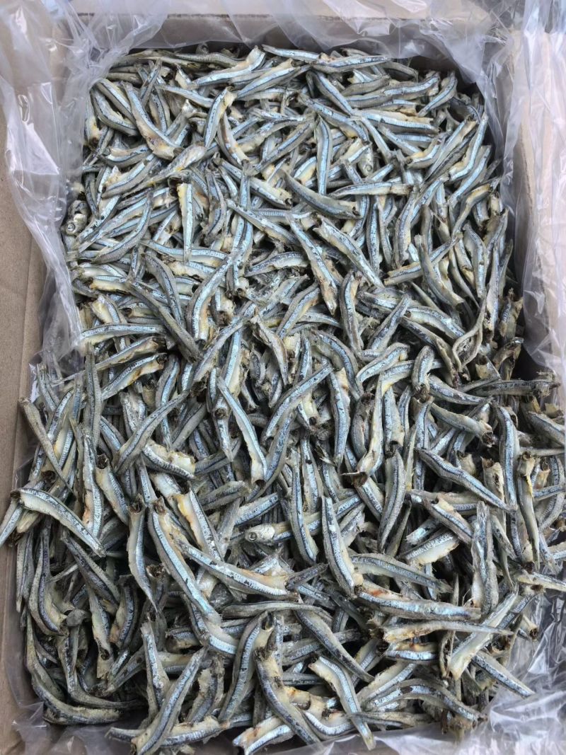 优质公干鱼5/7，海燕鱼，手工去头，产地货源