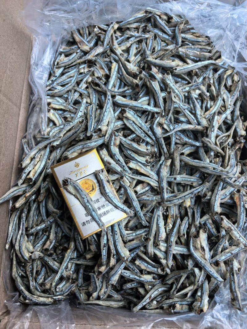 优质公干鱼5/7，海燕鱼，手工去头，产地货源