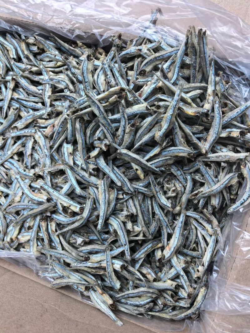 优质公干鱼5/7，海燕鱼，手工去头，产地货源