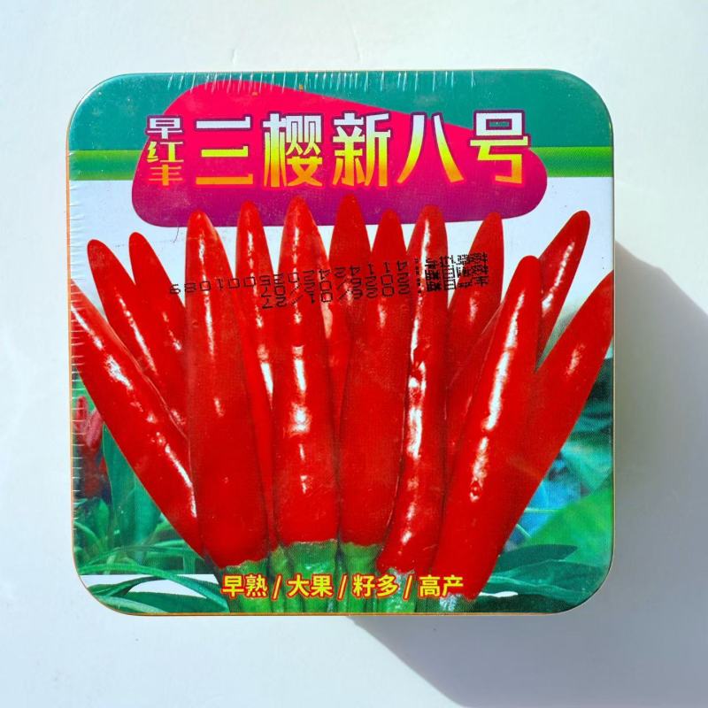 早红丰三樱新八号早熟大果簇生朝天椒种子干鲜两用籽多深红油