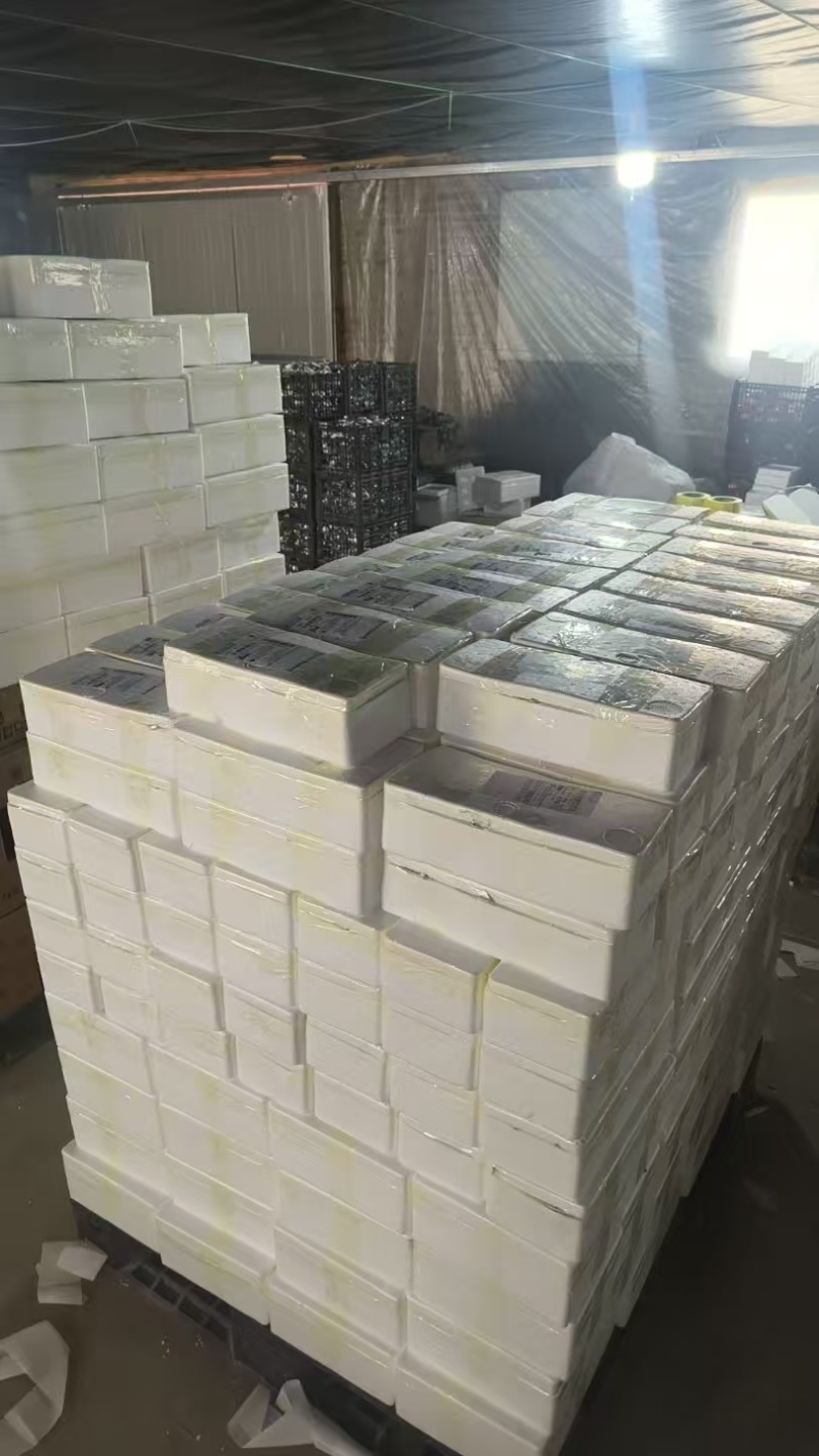河北烤鹅蛋，一手货源，全国供应，诚信经营，可视频看货