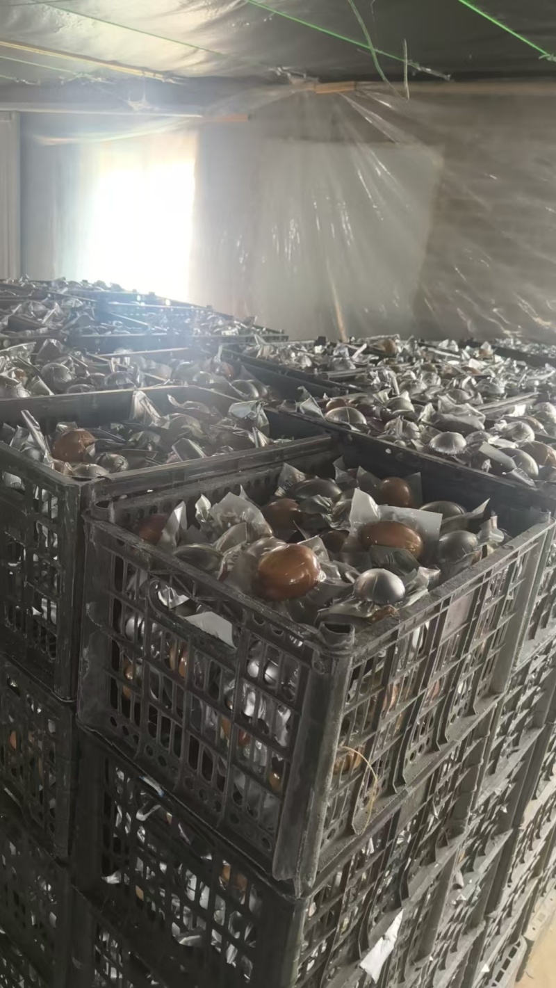 河北烤鹅蛋，一手货源，全国供应，诚信经营，可视频看货