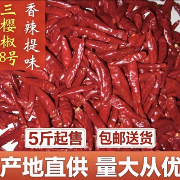 河南三樱椒八号特香微辣品质优价格低现货充足包邮
