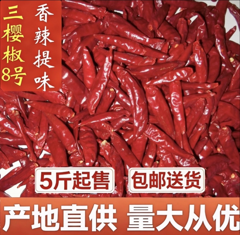 河南三樱椒八号特香微辣品质优价格低现货充足包邮