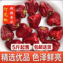 草莓灯笼椒微辣鲜香餐饮摆盘专用包邮