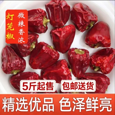 草莓灯笼椒微辣鲜香餐饮摆盘专用包邮