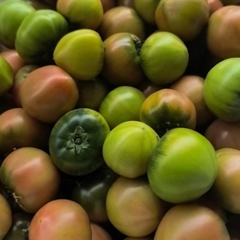 草莓番茄