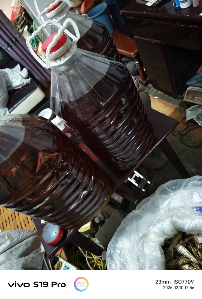 湖南高山原生古茶树山茶油