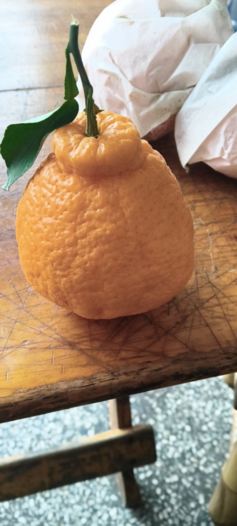 不知火