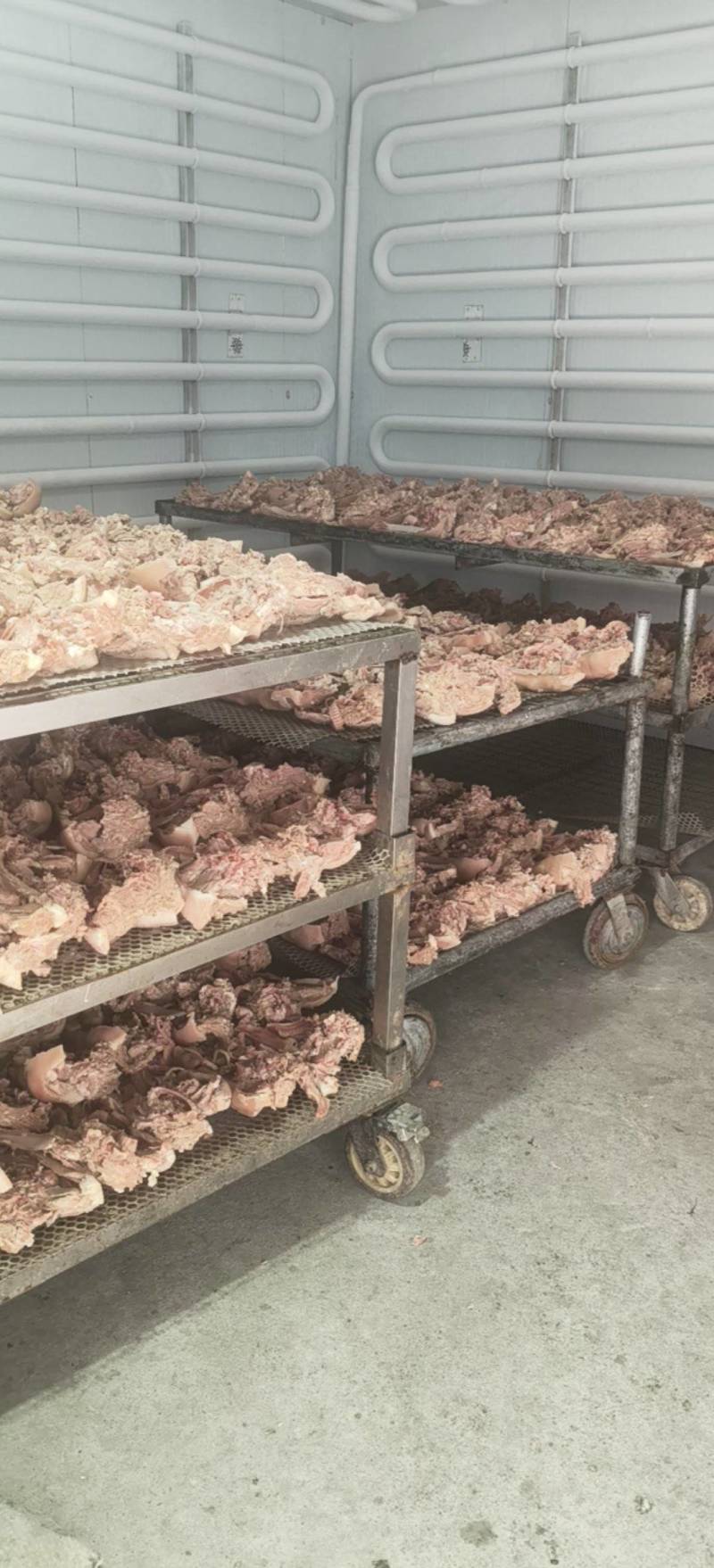 半成品猪头肉