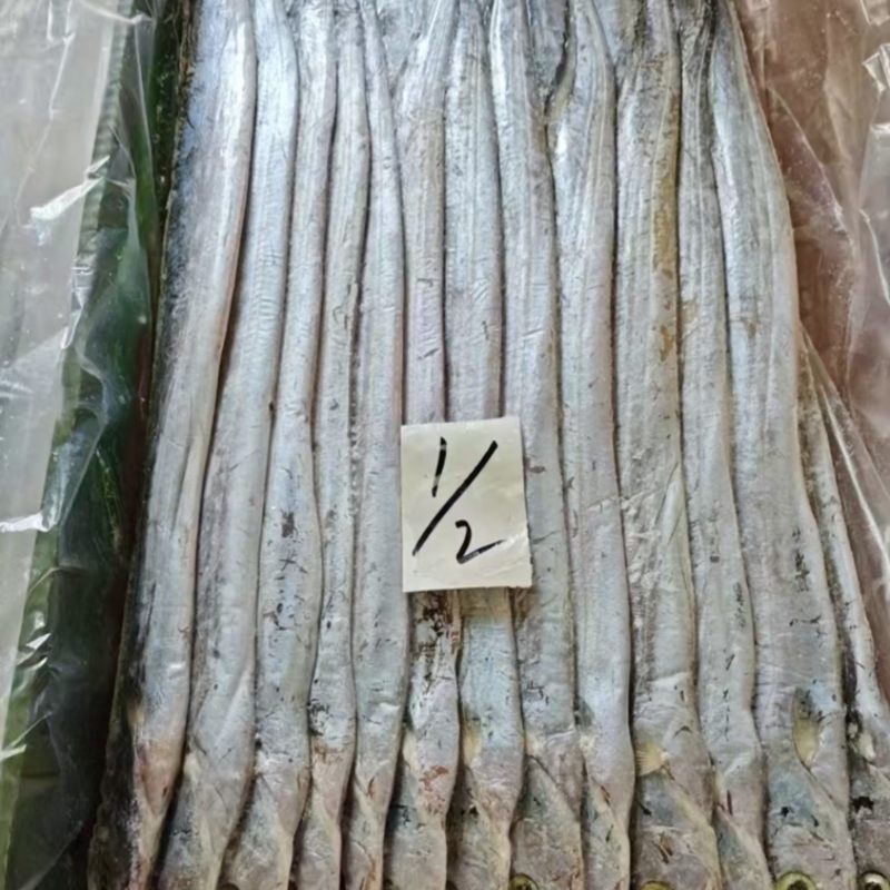 印度巴基斯坦网带，正关一手货源，原料可溯源，欢迎来电
