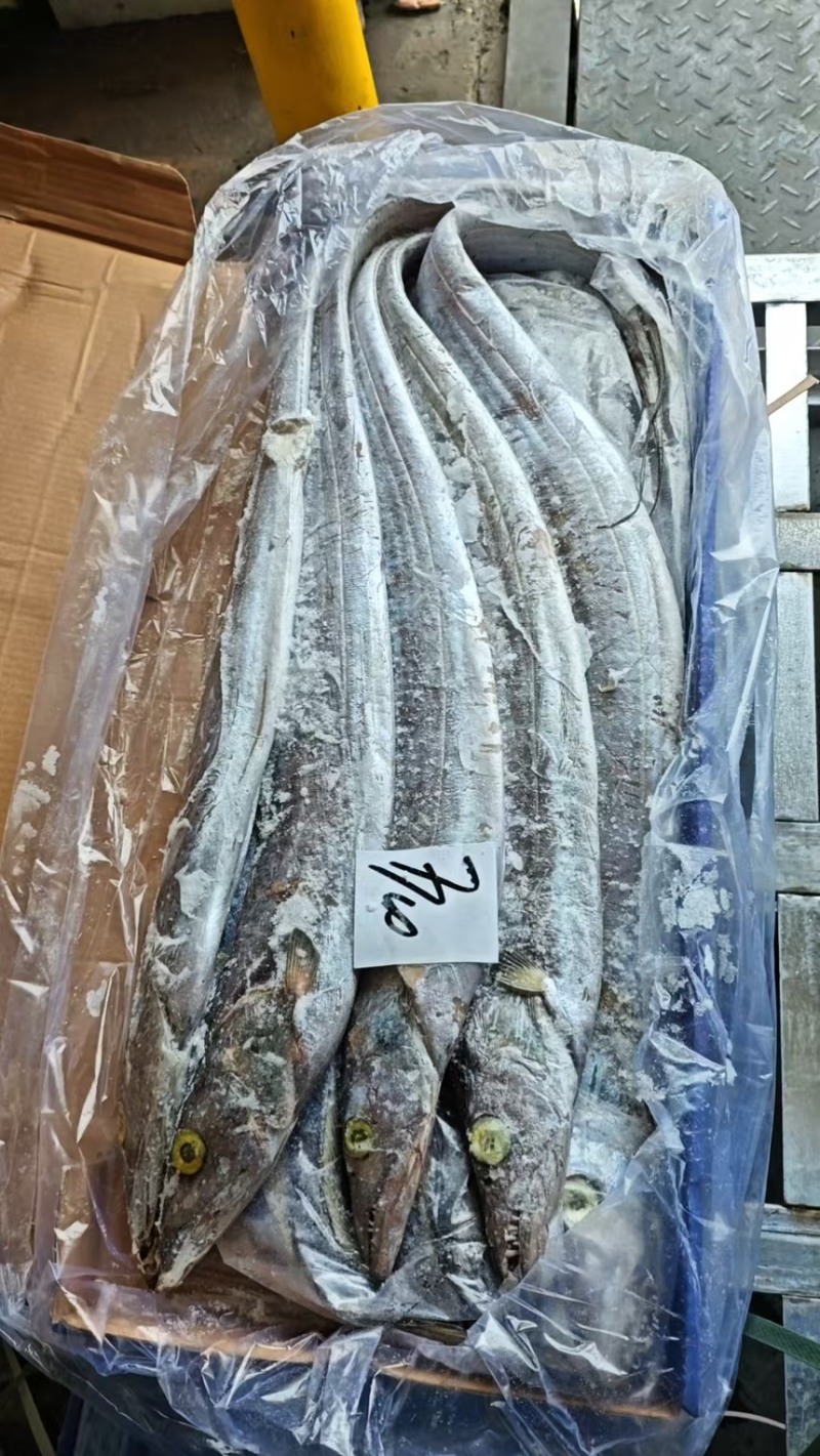 印度巴基斯坦网带，正关一手货源，原料可溯源，欢迎来电