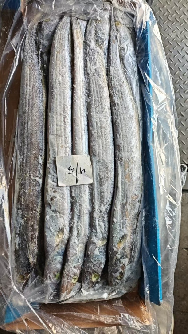 印度巴基斯坦网带，正关一手货源，原料可溯源，欢迎来电