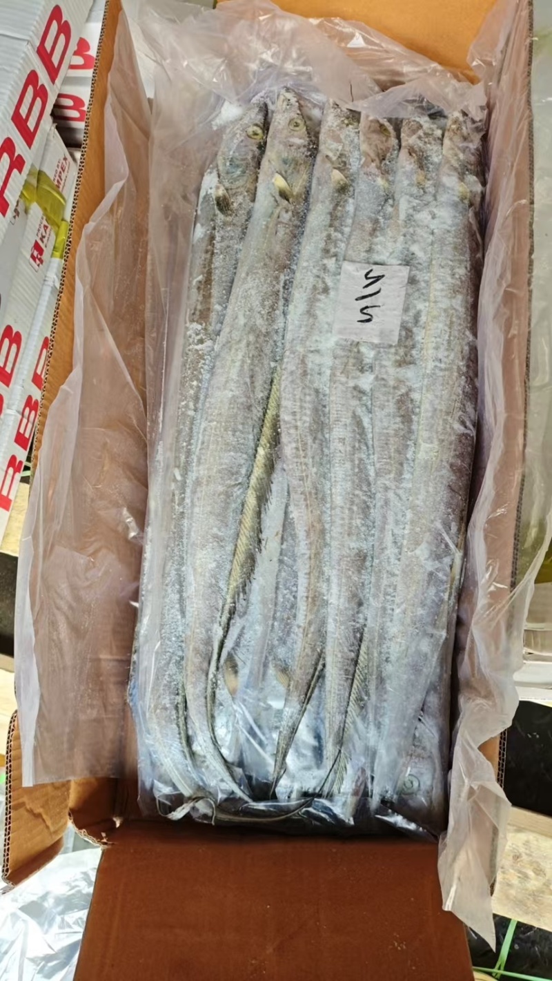 印度巴基斯坦网带，正关一手货源，原料可溯源，欢迎来电