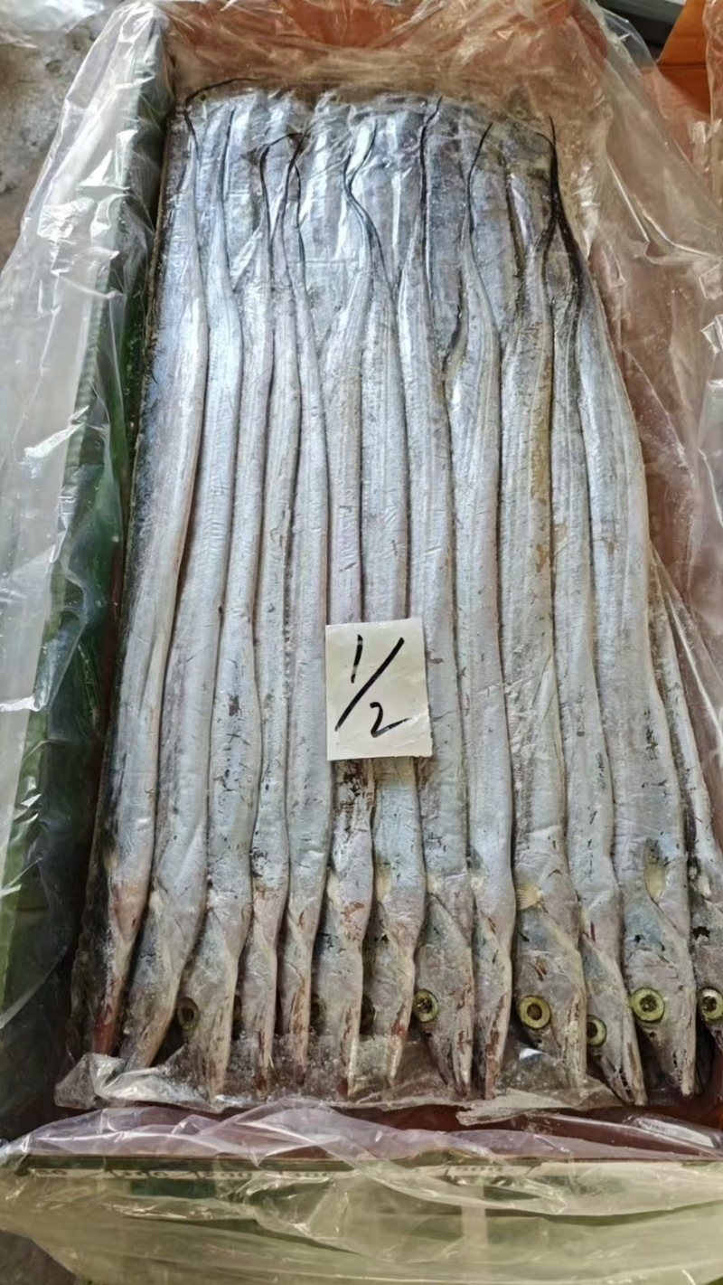 印度巴基斯坦网带，正关一手货源，原料可溯源，欢迎来电