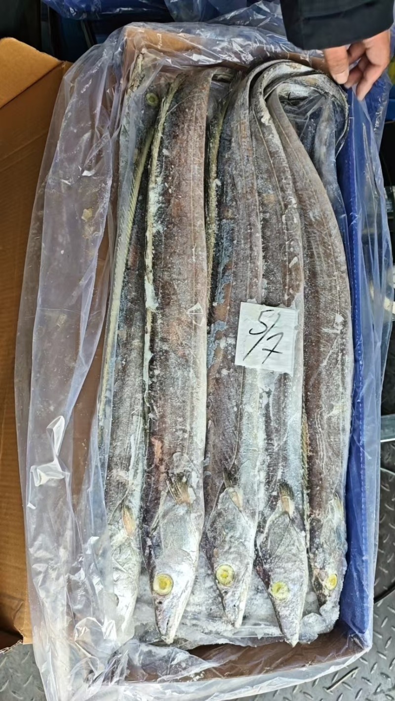 印度巴基斯坦网带，正关一手货源，原料可溯源，欢迎来电