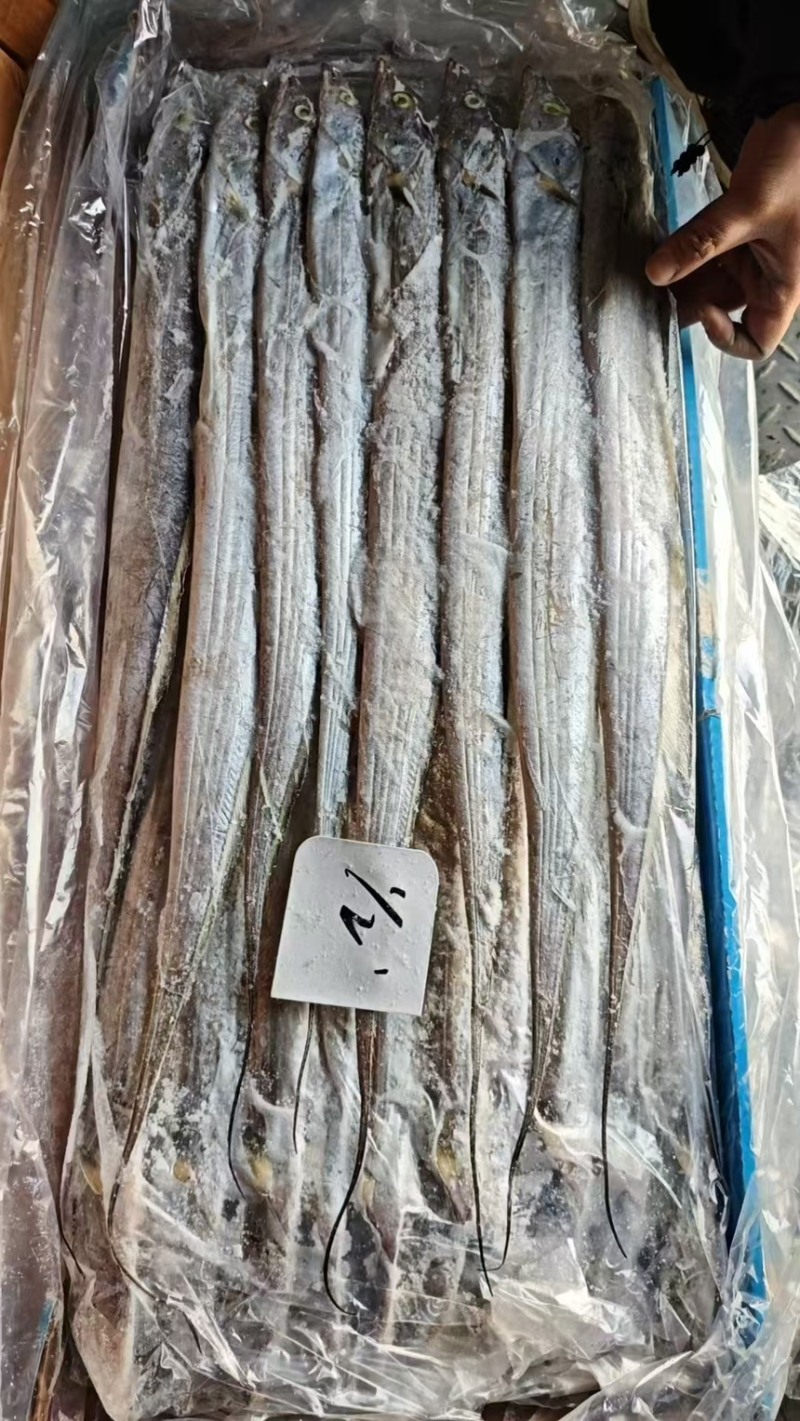 印度巴基斯坦网带，正关一手货源，原料可溯源，欢迎来电