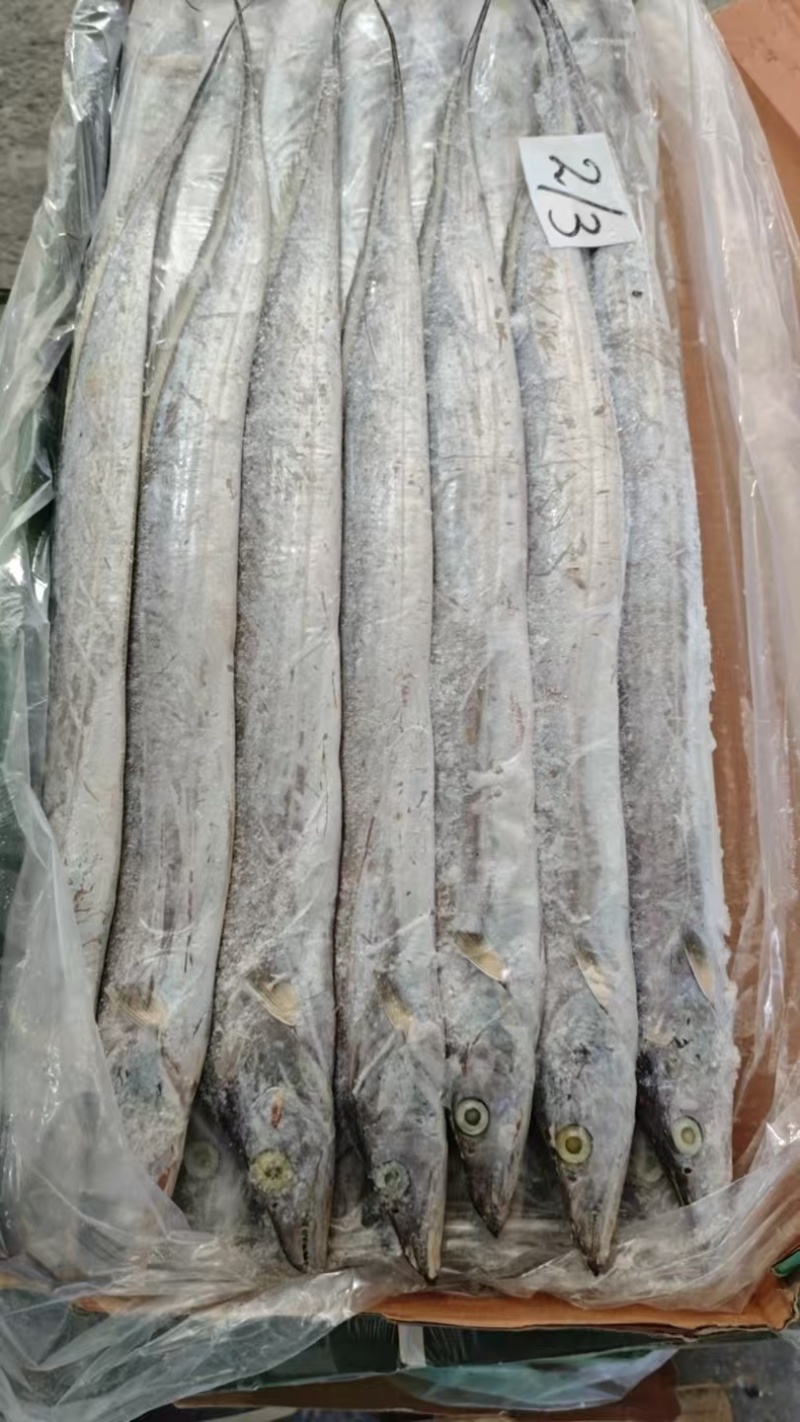 印度巴基斯坦网带，正关一手货源，原料可溯源，欢迎来电